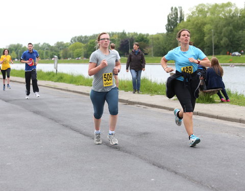 Watersportbaanloop voor Vlaamse bedrijven 2013-28279