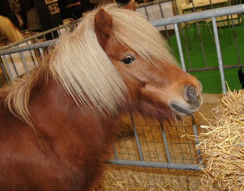 AUGent op Agriflanders, Vlaamse land- en tuinbouwbeurs (11-14 januari 2007) in Flanders Expo-32838