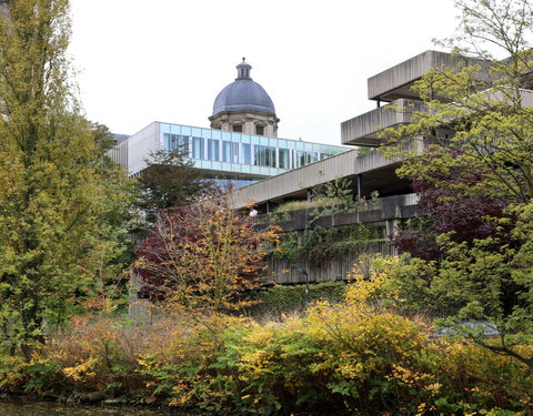 Faculteit Economie en Bedrijfskunde-37536