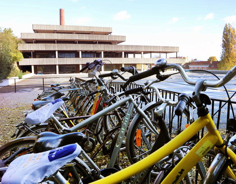 Faculteit Economie en Bedrijfskunde-37538