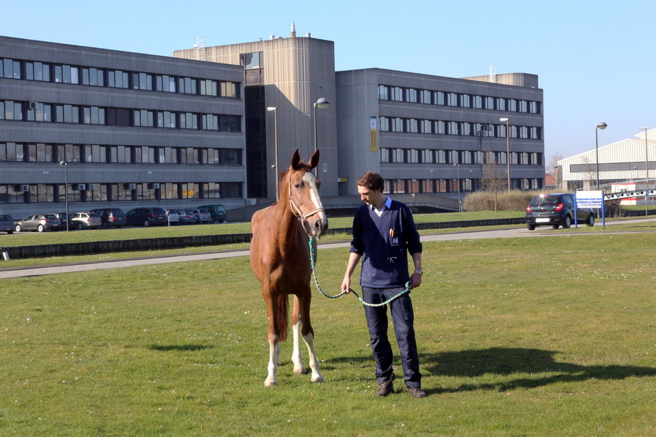 Transitie UGent