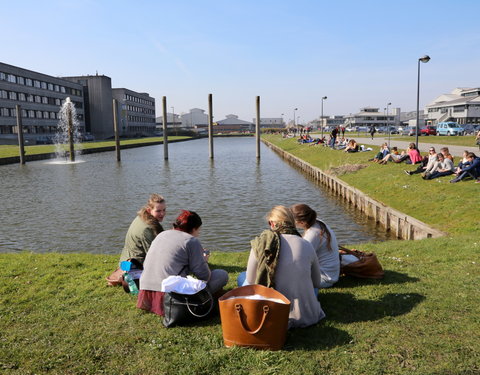 Sfeerbeeld faculteit Diergeneeskunde-40562