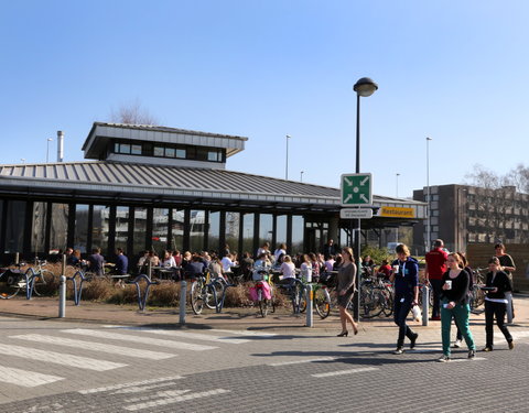 Sfeerbeeld faculteit Diergeneeskunde-40563