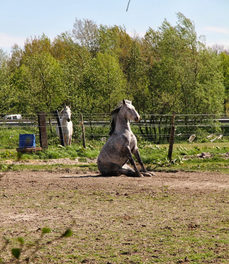 Transitie UGent