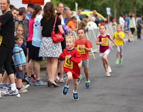 Watersportbaanloop voor Vlaamse bedrijven 2014-42877