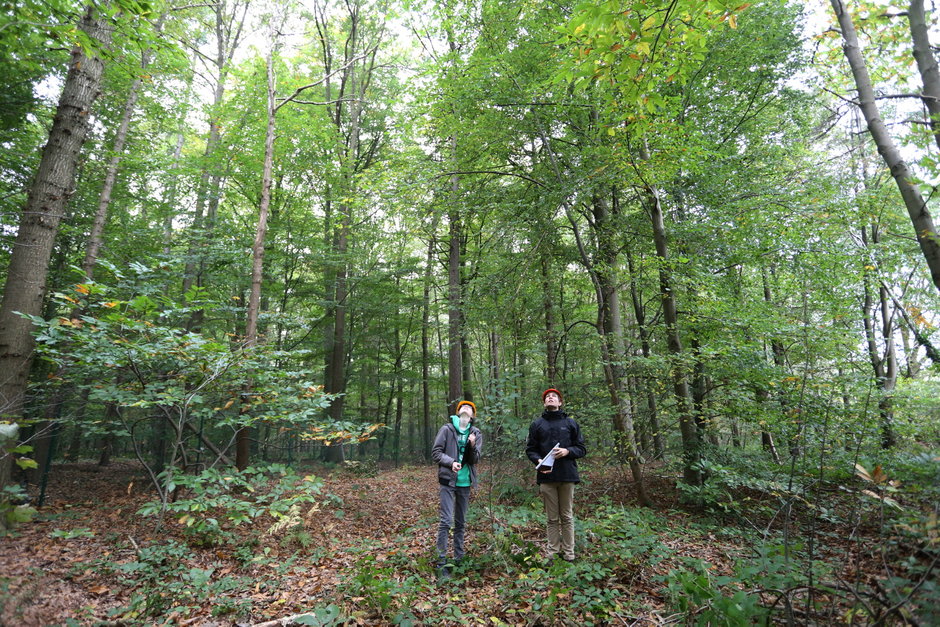 Transitie UGent