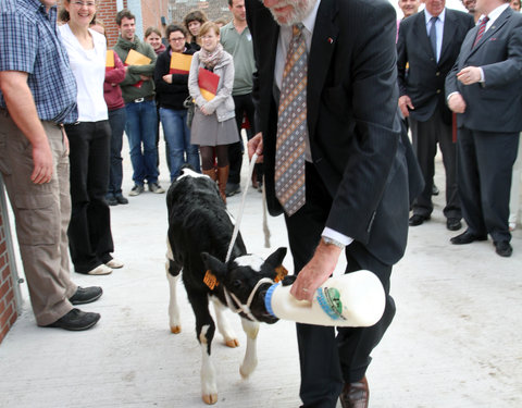 Opening nieuwe jongveestal, proefhoeve Melle-4792