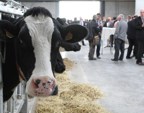 Opening nieuwe jongveestal, proefhoeve Melle-4800