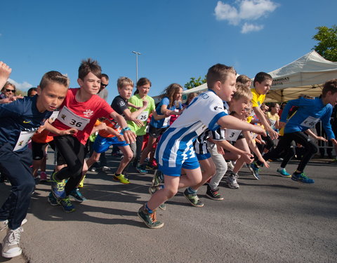 Watersportbaanloop voor Vlaamse bedrijven 2015-52198