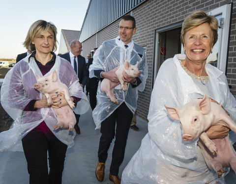 UGent, HoGent en ILVO openen een gemeenschappelijke onderwijs- en onderzoeksvarkensstal-52305