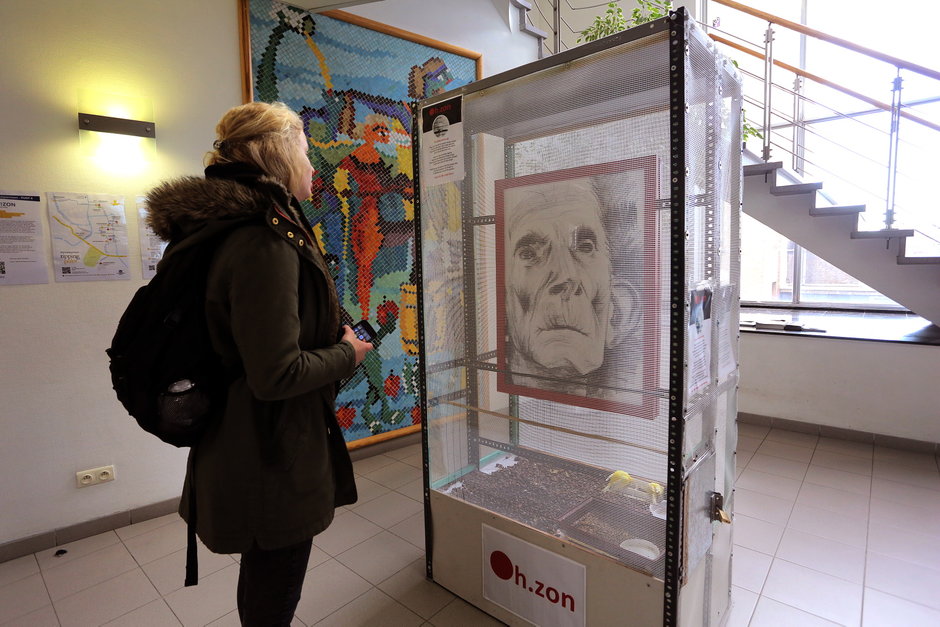 Transitie UGent
