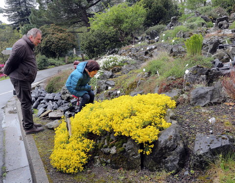 Floraliën 2016-64161