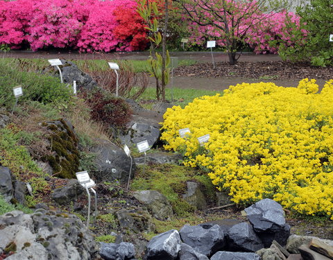 Floraliën 2016-64162