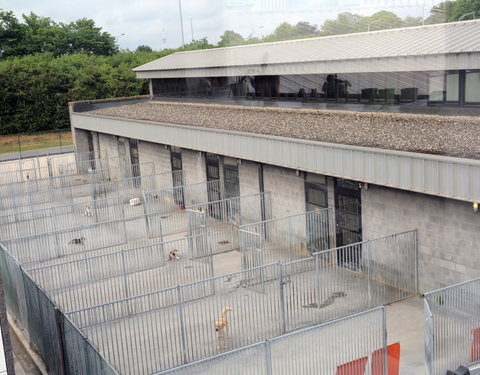 Opening nieuwe vleugel voor vakgroep Kleine Huisdieren in Merelbeke-64839