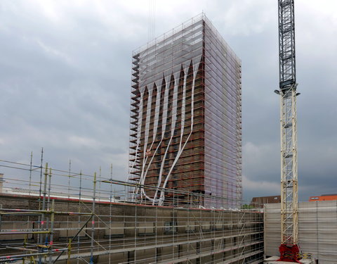 Boekentoren in de steigers-65062