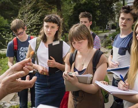 Faculteit Wetenschappen, Plantentuin-66569