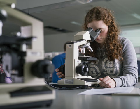 Sfeerbeelden faculteit Geneeskunde en Gezondheidswetenschappen-66626