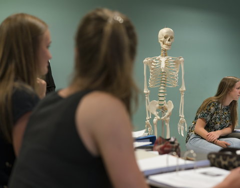 Sfeerbeelden faculteit Geneeskunde en Gezondheidswetenschappen-66636