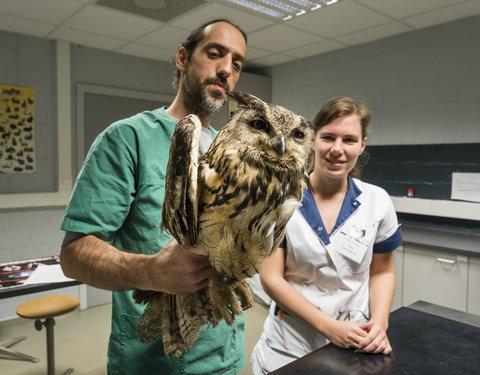 Sfeerbeelden faculteit Diergeneeskunde