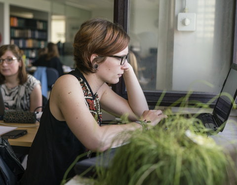 Faculteit Psychologie en Pedagogische Wetenschappen-66841