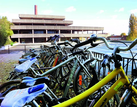 Faculteit Economie en Bedrijfskunde-67434