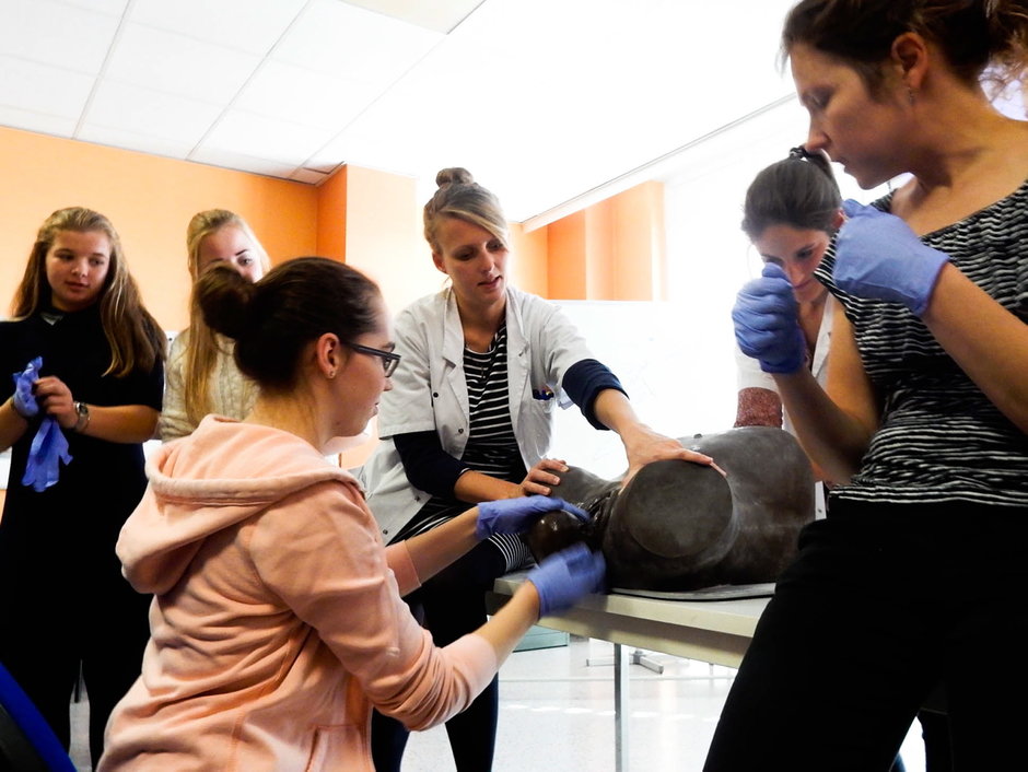 Transitie UGent