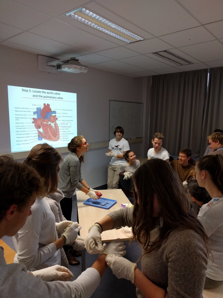 Transitie UGent