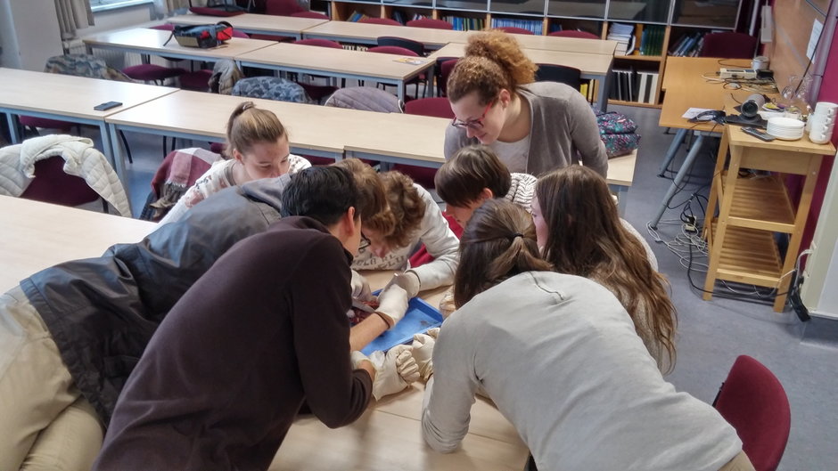Transitie UGent