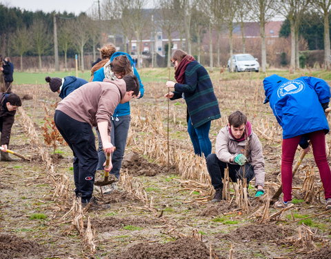 Aanplant klimaatbos in Melle