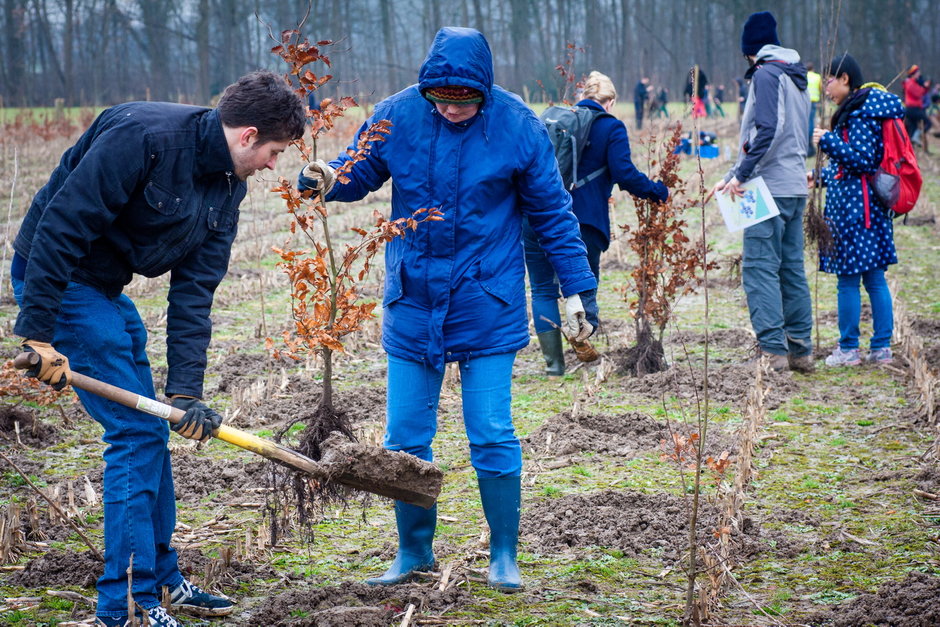 Transitie UGent