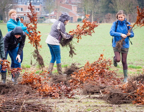 Aanplant klimaatbos in Melle