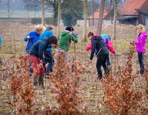 Aanplant klimaatbos in Melle