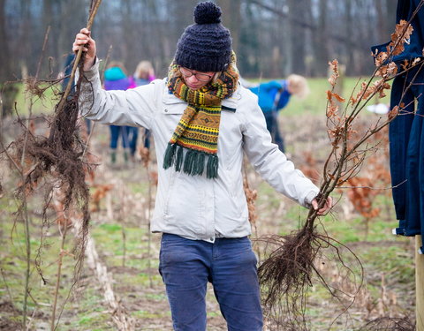 Aanplant klimaatbos in Melle