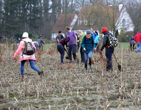 Aanplant klimaatbos in Melle