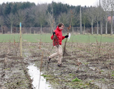 Aanplant klimaatbos in Melle