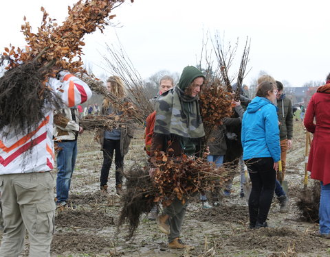 Aanplant klimaatbos in Melle