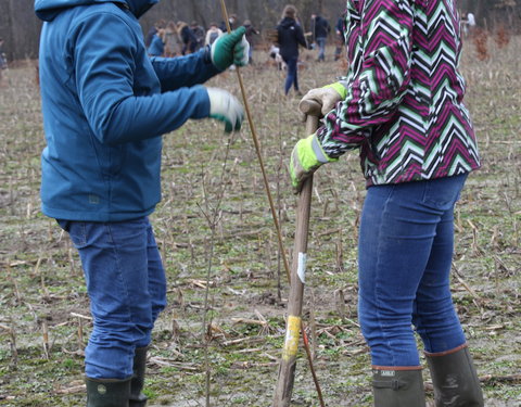 Aanplant klimaatbos in Melle