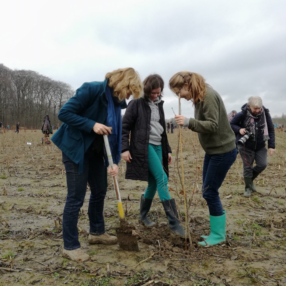 Transitie UGent