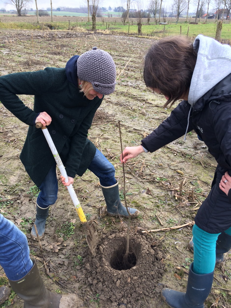 Transitie UGent