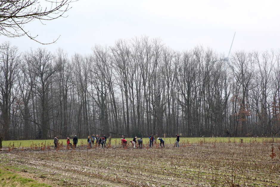 Transitie UGent