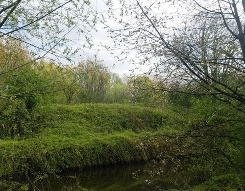 Sportnamiddag 2017, natuurwandeling