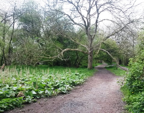 Sportnamiddag 2017, natuurwandeling