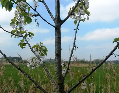 Sportnamiddag 2017, natuurwandeling