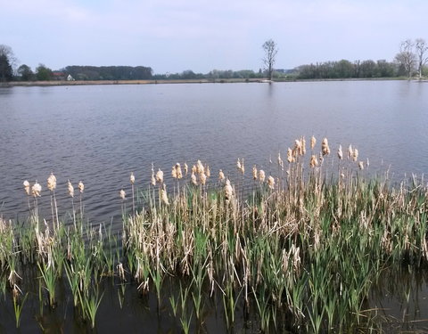 Sportnamiddag 2017, natuurwandeling