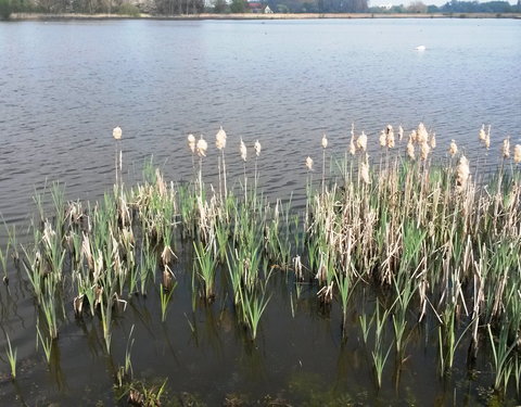 Sportnamiddag 2017, natuurwandeling