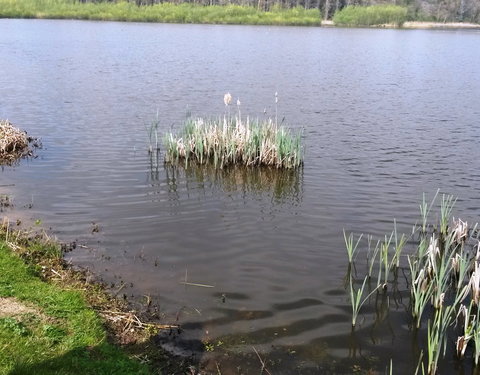 Sportnamiddag 2017, natuurwandeling