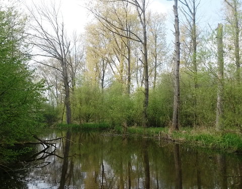 Sportnamiddag 2017, natuurwandeling