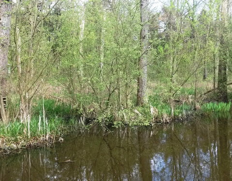 Sportnamiddag 2017, natuurwandeling