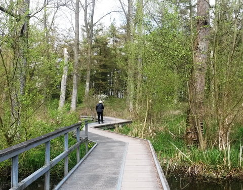 Sportnamiddag 2017, natuurwandeling