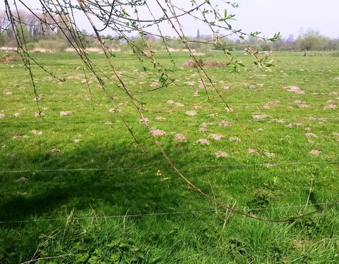 Sportnamiddag 2017, natuurwandeling